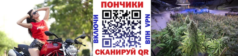 Где купить наркотики Майский ГАШ  Конопля  Меф мяу мяу 