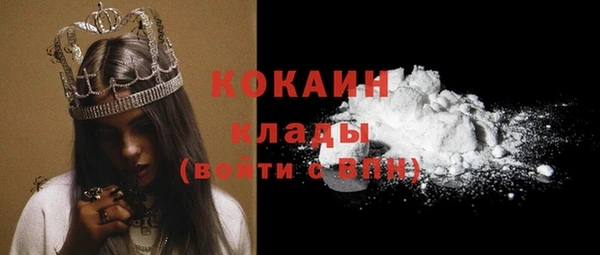 трава Новозыбков
