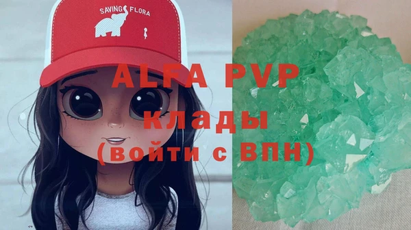 амф Новокубанск