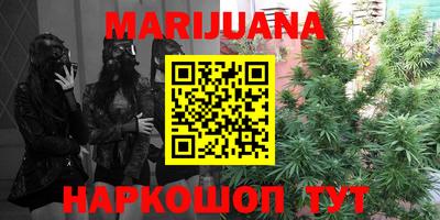 сатива Абинск