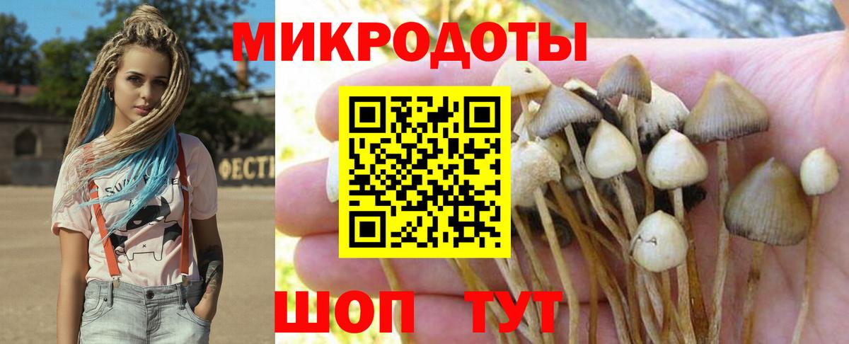 Псилоцибиновые грибы Psilocybine cubensis  купить закладку  Майский 