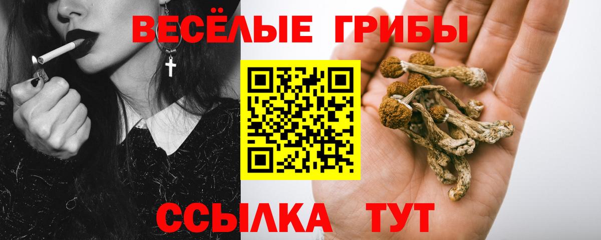 Галлюциногенные грибы мицелий  Вход с VPN  Майский  Галлюциногенные грибы мицелий 